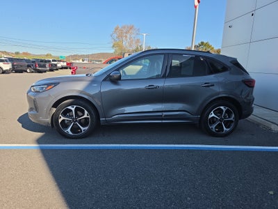 2024 Ford Escape ST-Line Elite