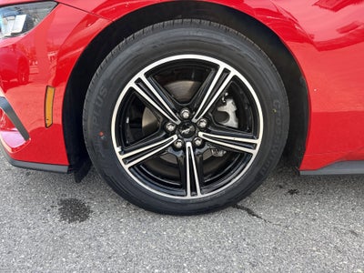 2025 Ford Mustang EcoBoost Premium