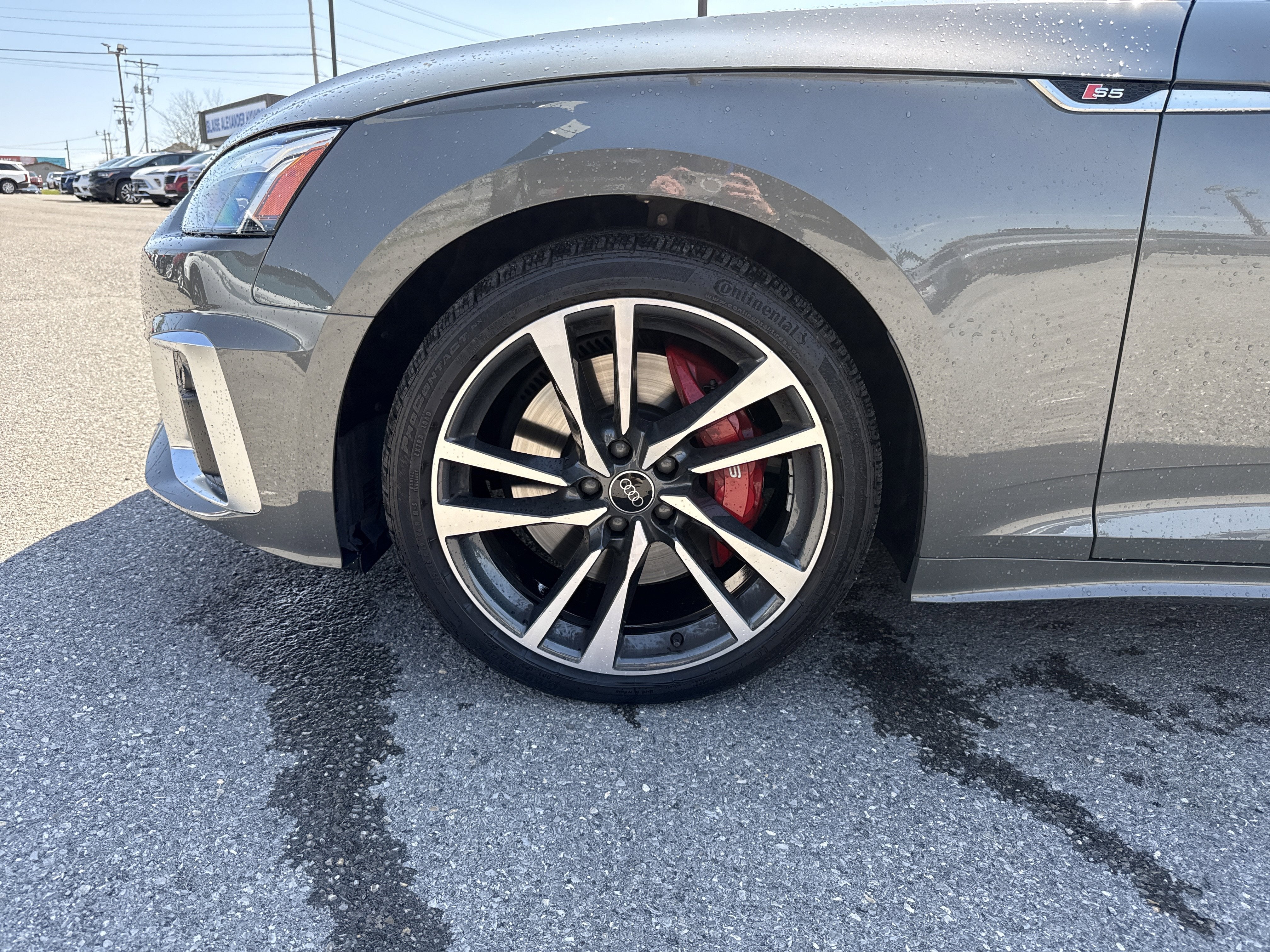 2025 Audi S5 Sportback Premium Plus