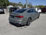2025 Audi S5 Sportback Premium Plus