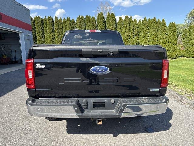 2023 Ford F-150 XLT 4WD SuperCrew 5.5' Box