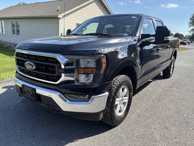 2023 Ford F-150 XLT 4WD SuperCrew 5.5' Box