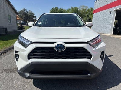 2024 Toyota RAV4 Hybrid XLE Premium AWD (Natl)
