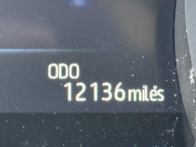 2018 Toyota Camry XLE Auto (SE)