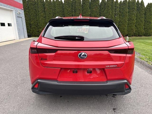 2020 Lexus UX 250h AWD