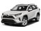 2020 Toyota RAV4 XLE Premium AWD (Natl)