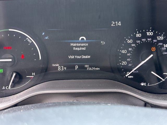 2025 Toyota Sienna LE FWD 8-Passenger (Natl)