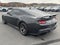 2024 Ford Mustang Dark Horse Fastback