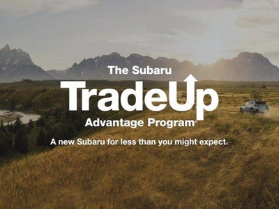 2025 Subaru Outback Limited AWD