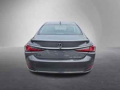 2021 Lexus ES 250 AWD