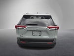2019 Toyota RAV4 XLE AWD (Natl)