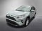 2019 Toyota RAV4 XLE AWD (Natl)