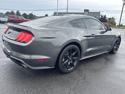 2019 Ford Mustang EcoBoost Fastback