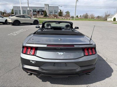 2025 Ford Mustang EcoBoost Premium Convertible