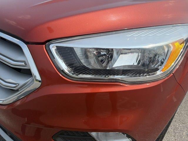2019 Ford Escape SE 4WD
