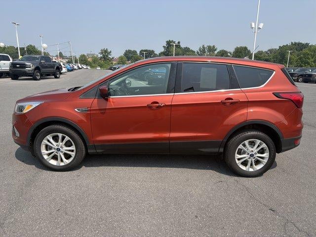 2019 Ford Escape SE 4WD