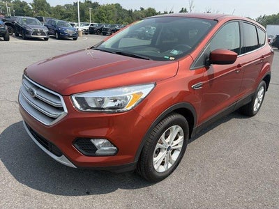 2019 Ford Escape SE 4WD