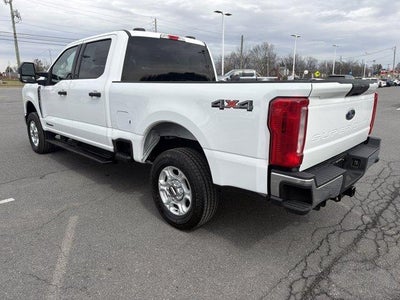 2025 Ford Super Duty F-250 SRW XLT 4WD Crew Cab 6.75' Box