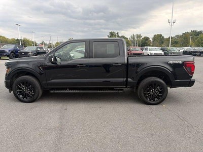 2024 Ford F-150 XLT 4WD SuperCrew 5.5' Box