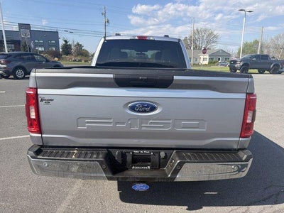 2023 Ford F-150 XLT 4WD SuperCrew 5.5' Box