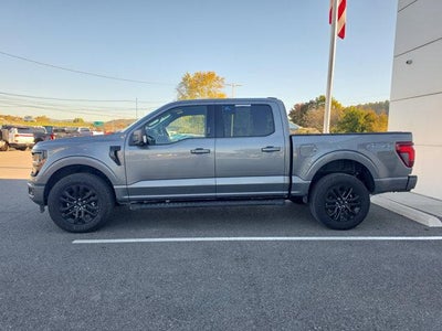 2024 Ford F-150 XLT 4WD SuperCrew 5.5' Box