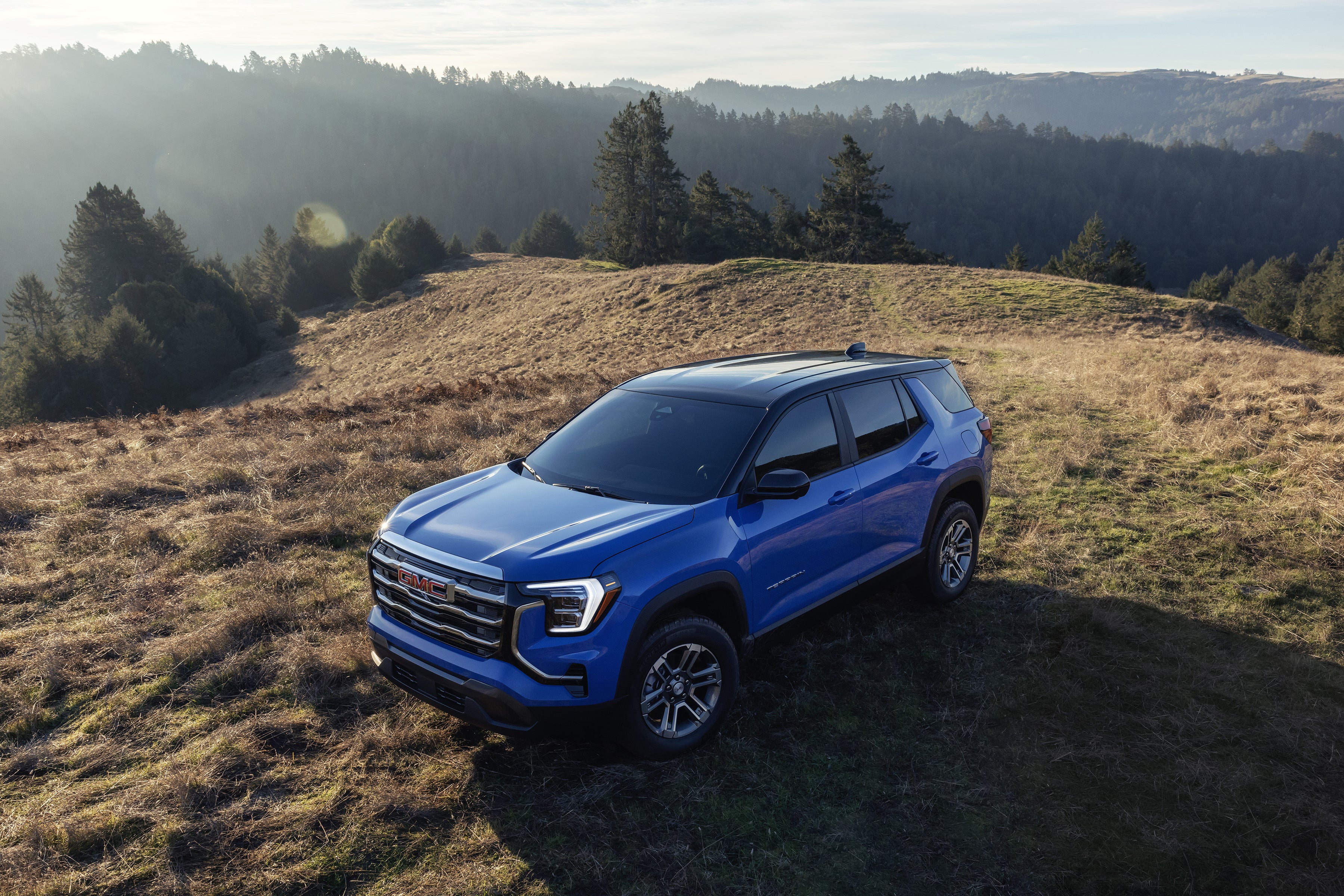 Blue GMC Terrain parked on grass with trees in background